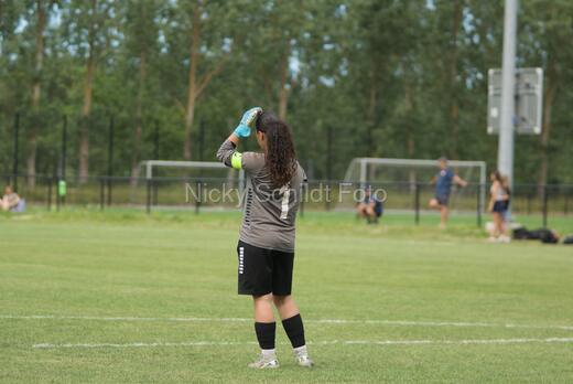 AIF - BSF u 16 p
