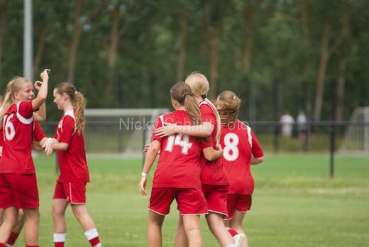 AIF - BSF u 16 p