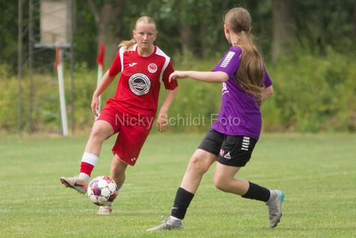 AIF - BSF u 16 p