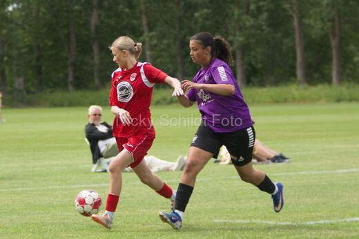 AIF - BSF u 16 p