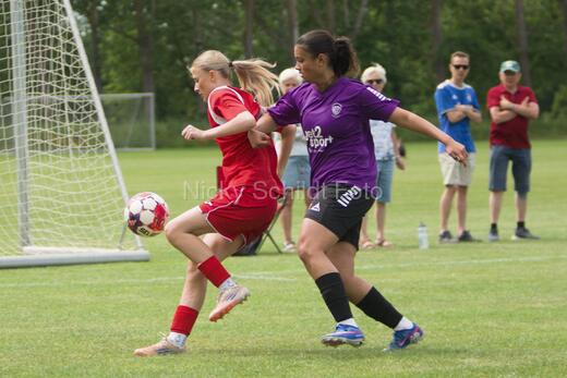 AIF - BSF u 16 p