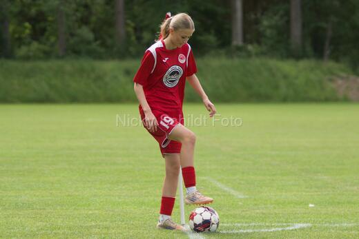 AIF - BSF u 16 p