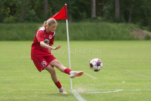 AIF - BSF u 16 p