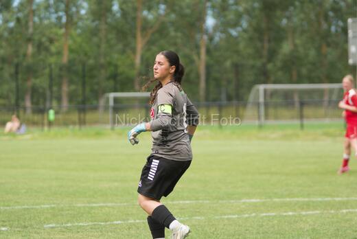 AIF - BSF u 16 p