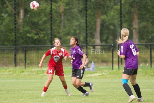 AIF - BSF u 16 p