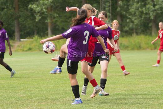 AIF - BSF u 16 p