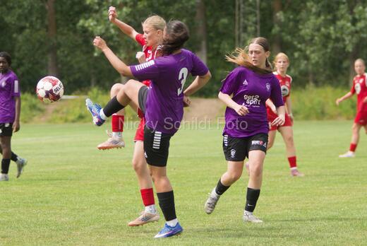 AIF - BSF u 16 p