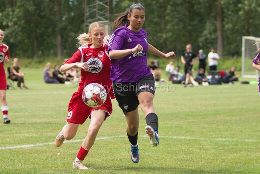 AIF - BSF u 16 p