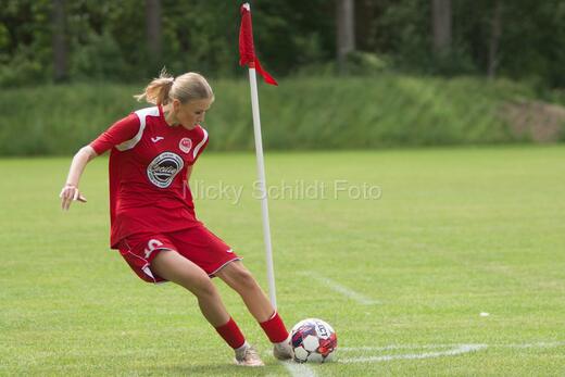 AIF - BSF u 16 p