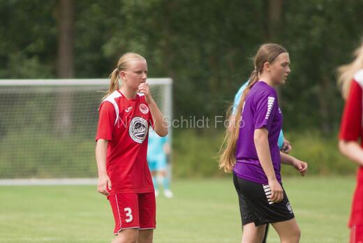 AIF - BSF u 16 p
