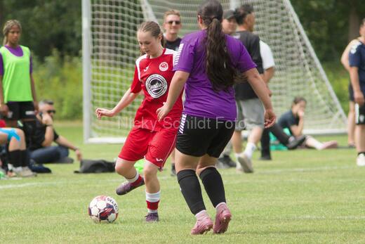 AIF - BSF u 16 p