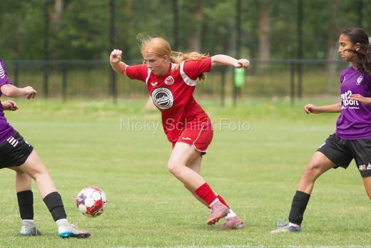 AIF - BSF u 16 p