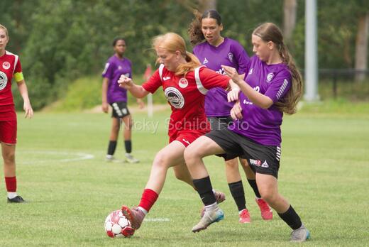 AIF - BSF u 16 p