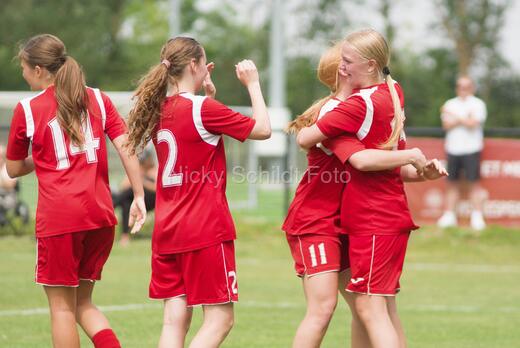 AIF - BSF u 16 p