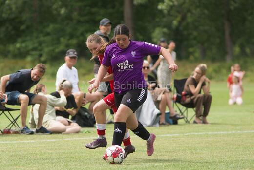 AIF - BSF u 16 p