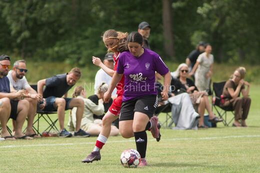 AIF - BSF u 16 p