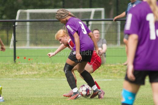 AIF - BSF u 16 p