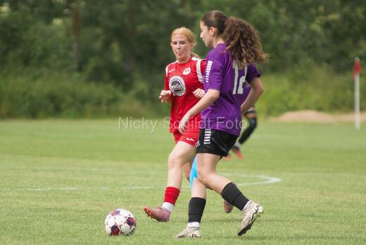AIF - BSF u 16 p