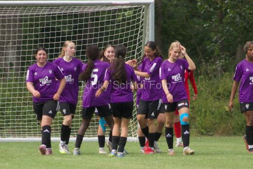 AIF - BSF u 16 p