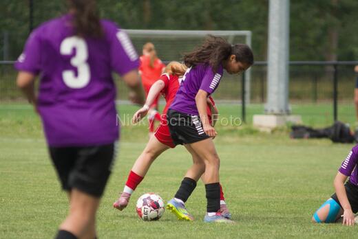 AIF - BSF u 16 p
