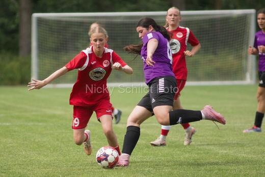AIF - BSF u 16 p