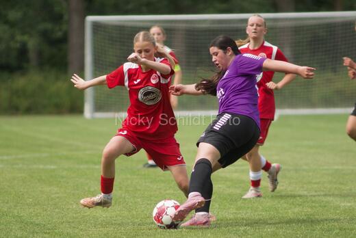 AIF - BSF u 16 p
