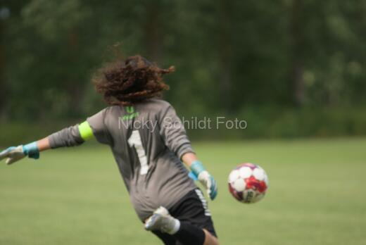 AIF - BSF u 16 p