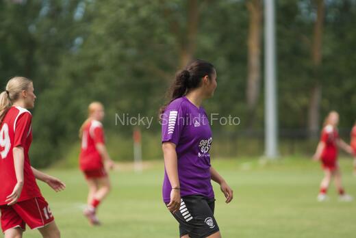 AIF - BSF u 16 p