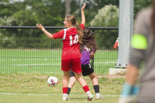 AIF - BSF u 16 p