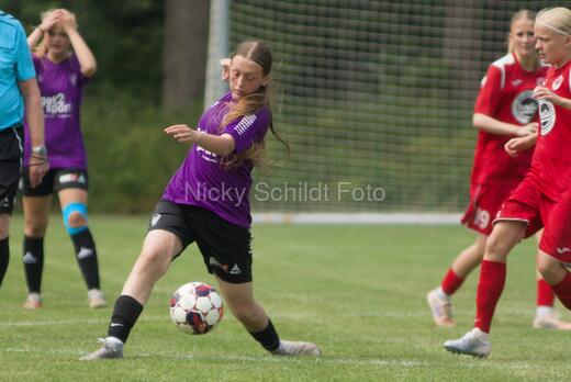 AIF - BSF u 16 p