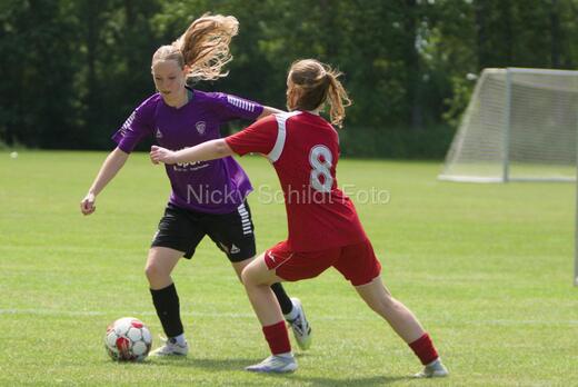 AIF - BSF u 16 p