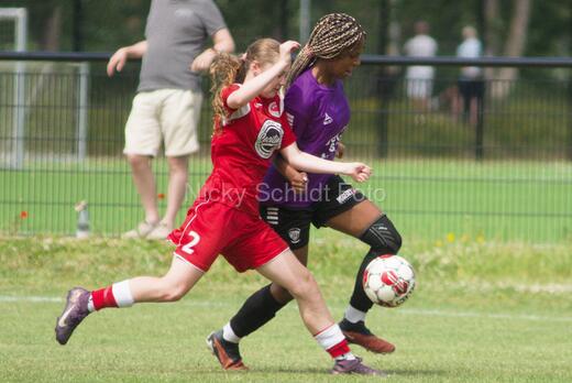 AIF - BSF u 16 p