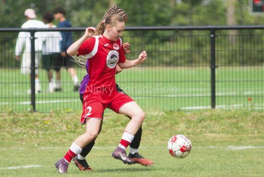 AIF - BSF u 16 p