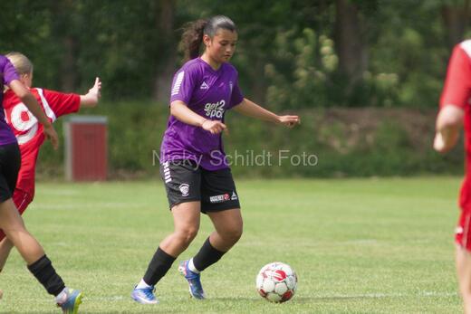 AIF - BSF u 16 p