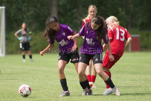 AIF - BSF u 16 p