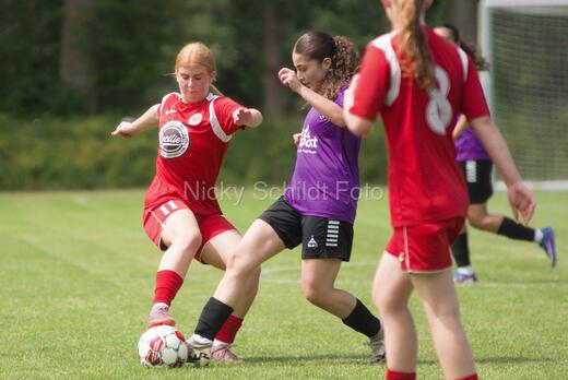 AIF - BSF u 16 p