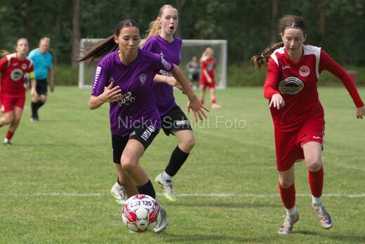 AIF - BSF u 16 p