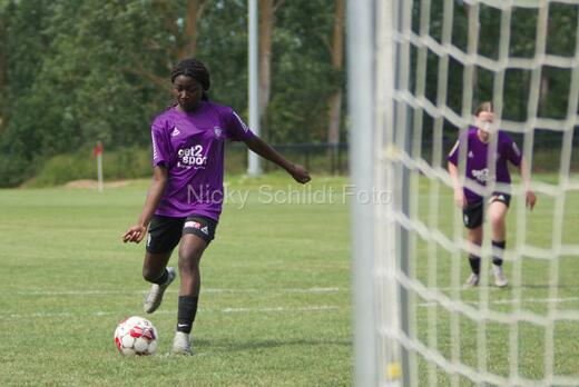 AIF - BSF u 16 p