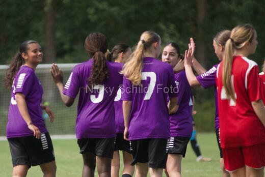 AIF - BSF u 16 p