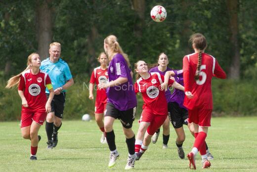 AIF - BSF u 16 p