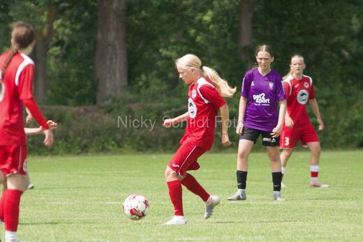 AIF - BSF u 16 p