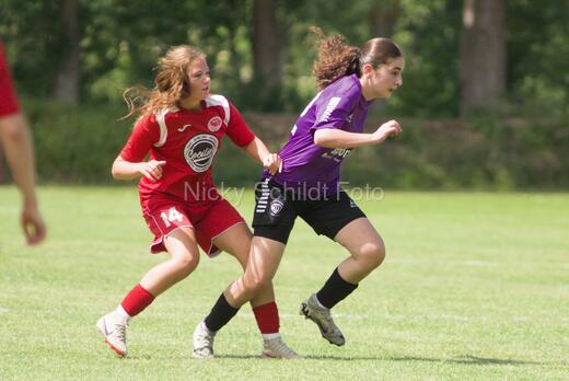 AIF - BSF u 16 p