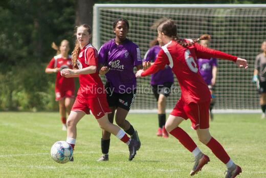 AIF - BSF u 16 p