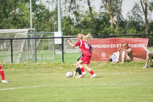 AIF - BSF u 16 p