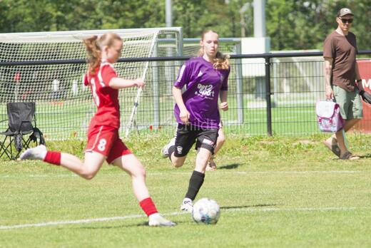 AIF - BSF u 16 p