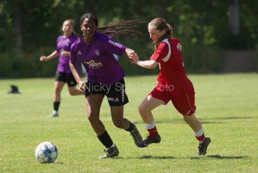 AIF - BSF u 16 p