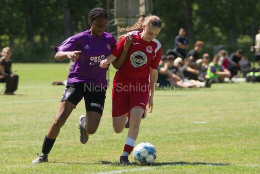 AIF - BSF u 16 p