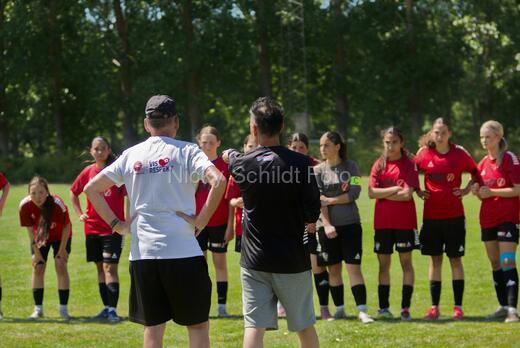 AIF - BSF u 16 p