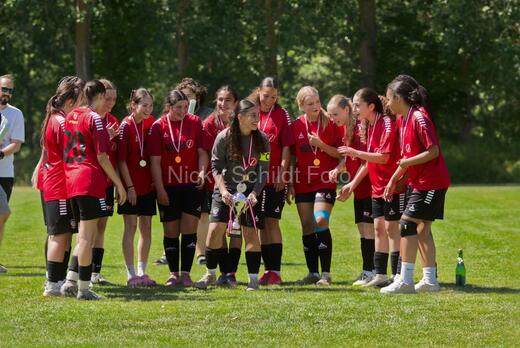 AIF - BSF u 16 p
