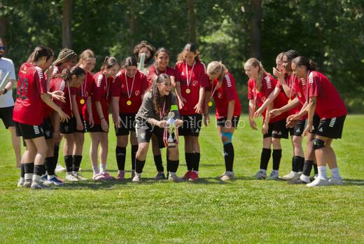 AIF - BSF u 16 p